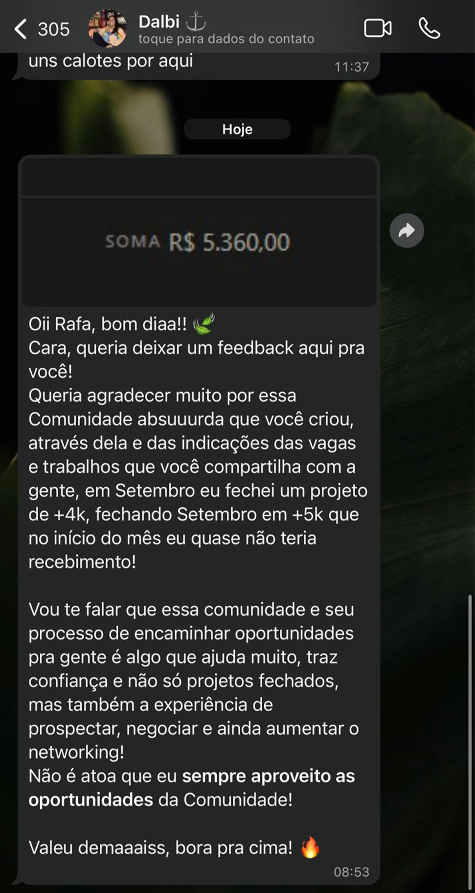 BR NOVO 2